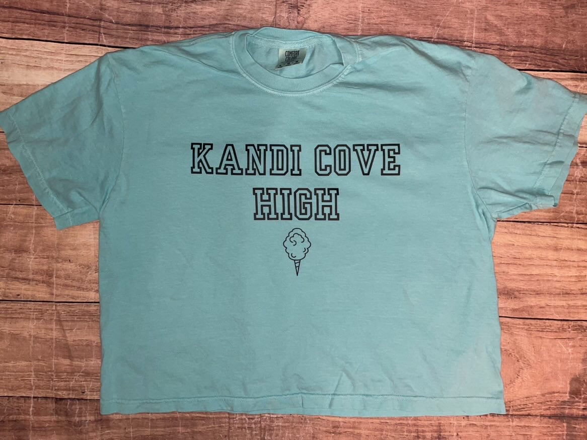 Kandi Cove High Crop Top