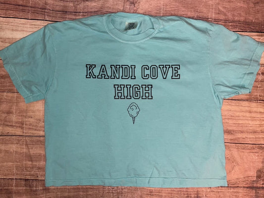 Kandi Cove High Crop Top